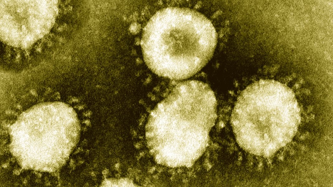 Coronavirus