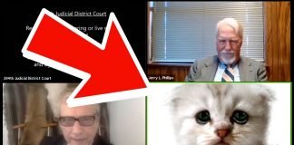 ‘No soy un gato’: abogado protagoniza momento viral al aparecer con un filtro de Zoom