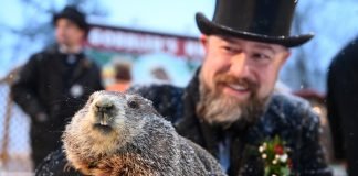 Predice marmota “Phil” invierno más largo y crudo