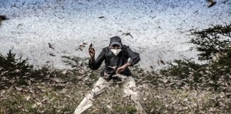 Fotos nominadas al World Press Photo 2021