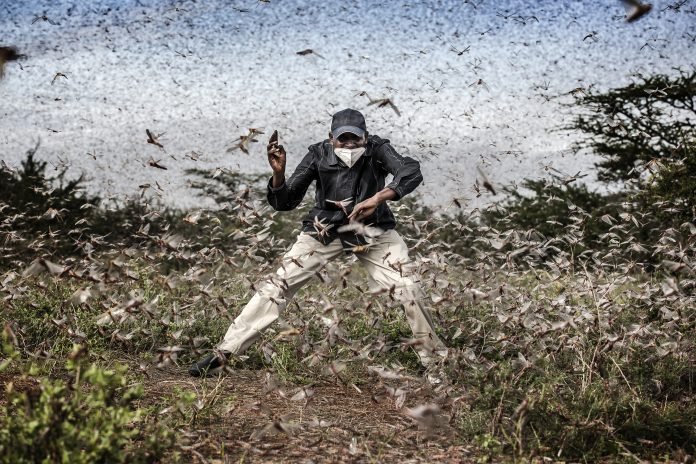 005_world_press_photo_of_the_year_nominee_luis_tato_for_the_washington_post