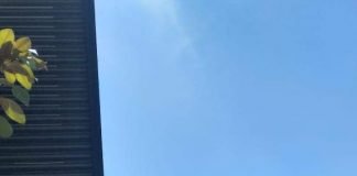 Coca-Cola y RICA donan productos para hidratar durante vacunación en Hidalgo