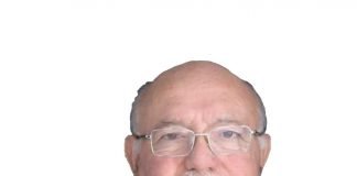 Protección a los denunciantes David Colmenares Páramo