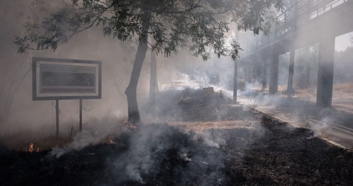 Un conato de incendio fue controlado por el Cuerpo de Bomberos de la UNAM, a un costado de avenida Insurgentes a la altura del Metrobus Centro Cultural Universitario, cuando este amagaba apenas con expandirse a otras área.