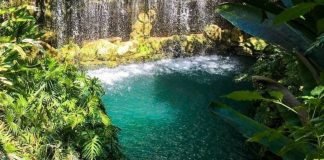 «Error humano» provoca que niño sea succionado por alberca en Xcaret