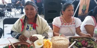 Roba pandemia placer de comida exótica del Valle del Mezquital