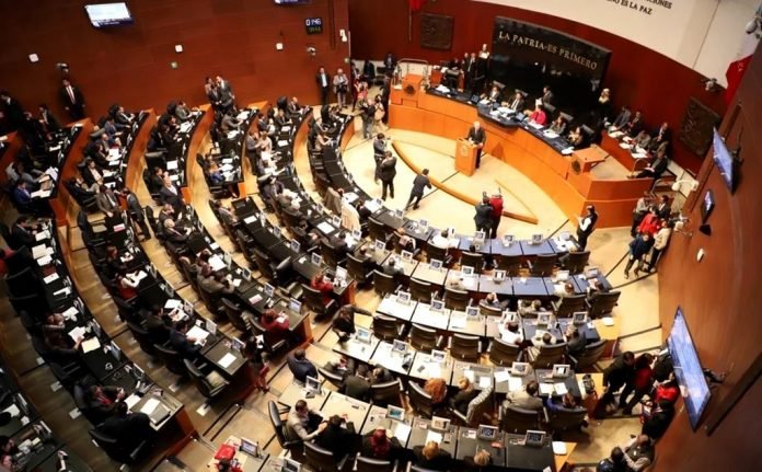 WhatsApp Image 2021-04-15 at 5.13.54 PM