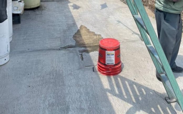 WhatsApp Image 2021-04-17 at 4.56.57 PM