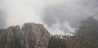 Combaten más de 300 brigadistas incendio en sierra gorda de Hidalgo