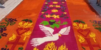 Fiesta de Espigas en Tlaxcoapan | Galería