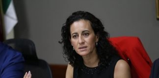 «No actuamos a modo de ningún partido», presidenta del IEEH