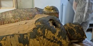 En Varsovia, descubren primera momia de mujer embarazada