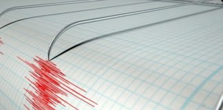 Tembló en Coyoacán: se registra sismo de 1.4