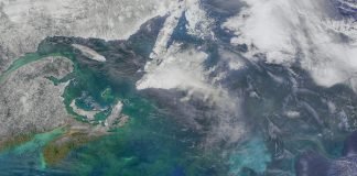 NASA busca rescatar zona crepuscular de océanos para combatir el cambio climático