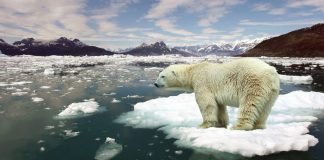 Calentamiento Global