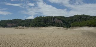 Sequía afecta sector agropecuario