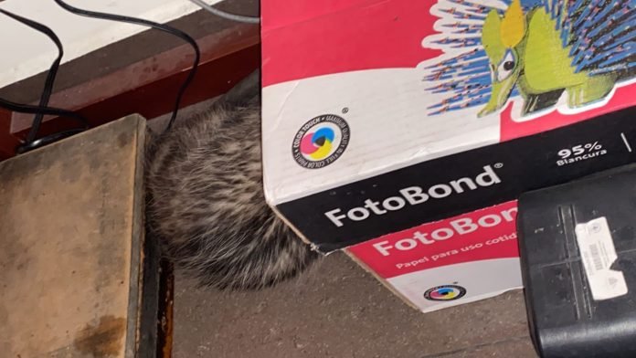 WhatsApp Image 2021-05-10 at 3.12.45 PM (1)