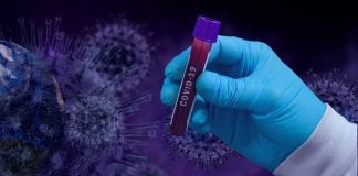 ¿Pudo el coronavirus crearse y escaparse de un laboratorio?