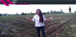 Verónica Elizalde compañera de fórmula del candidato a Diputado Federal por el Distrito V de Tula con la coalición Juntos Hacemos Historia