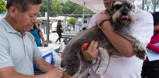 Anuncian vacunación antirrábica canina en Tulancingo