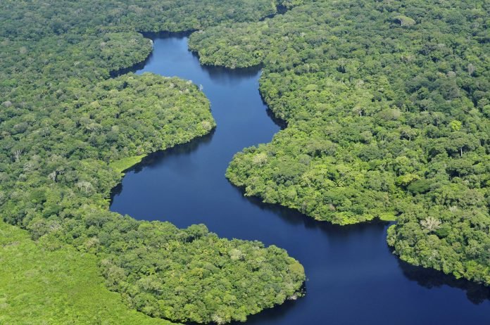 Amazonas