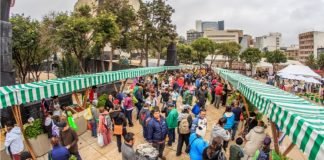 Vuelve Mercado de Trueque a CDMX