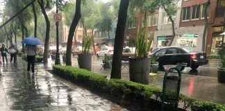Tarde lluviosa este viernes en CDMX Lluvias CDMX