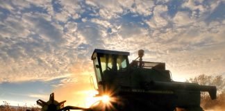 Premio Zayed a la Sostenibilidad 2022 rompe récord de inscripciones de 151 países Sostenabilidad