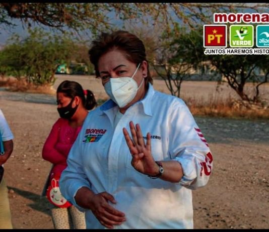 María del Carmen Lozano en 6 propuestas carmen lozano