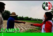 Anel Torres Biñuelo en 5 propuestas