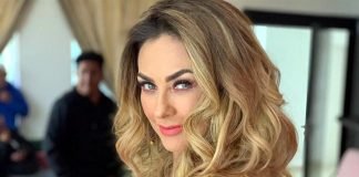 Aracely Arámbula prepara libro de memorias