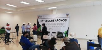 Impulsan inseminación artificial de ganado en Tulancingo semen Tulancingo