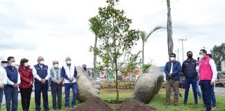 Conmemoran en Tulancingo Día Nacional del Árbol Árbol Tulancingo
