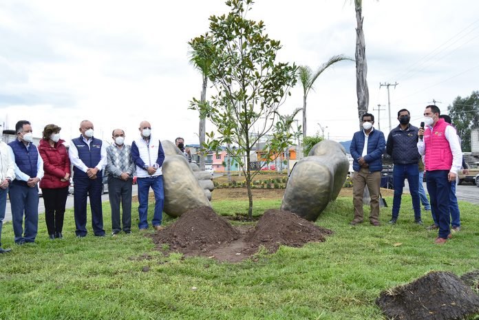 Árbol Tulancingo