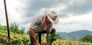 Buscan fortalecer derechos laborales para campesinos Campesinos