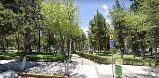 Inicia restauración de árboles en Parque de los Hombres Ilustres Parque Juárez