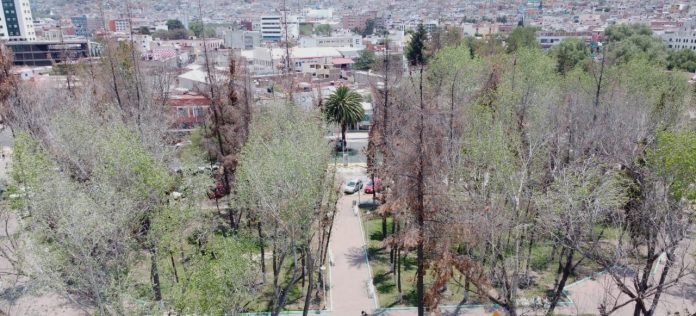 Hidalgo Parque