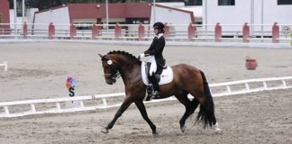 Termina Mafer su participación en primera ronda en Tokio