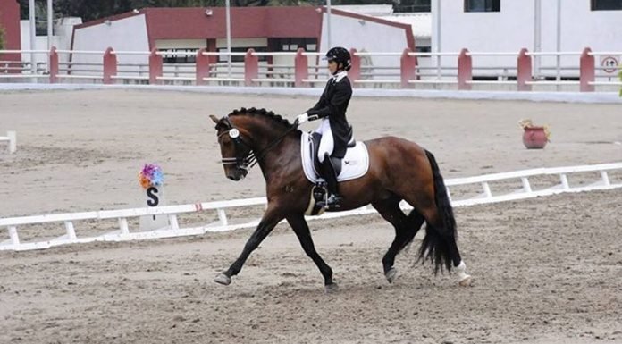 Termina Mafer su participación en primera ronda en Tokio