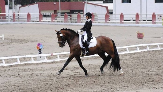 martha-fernanda-del-valle-696x392