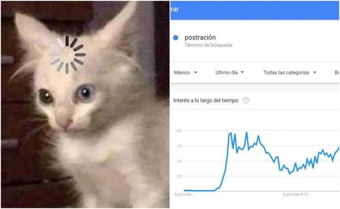 Postración Memes