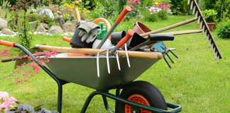 Tula ofrece herramienta a bajo precio para sector agropecuario Herramientas Tula