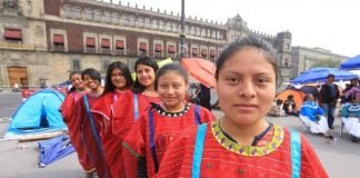 Convocan a Premio Nezahualcóyotl, galardón a las lenguas indígenas Lenguas Indígenas