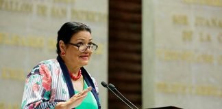 Consejera del INE denuncia nueva forma de violencia política contra legisladoras Dulce Sauri