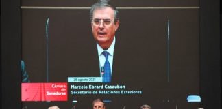 Ebrard OEA