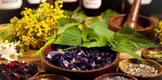 Realizan encuentro de herbolaria y medicina tradicional en San Felipe Orizatlán