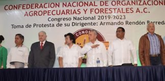 Rendón Barreda presentará informe de actividades de CONORAF Armando Rendon