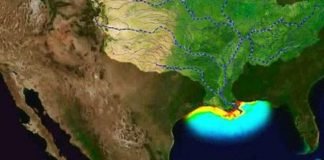 Preocupa expansión de zona muerta del Golfo de México