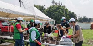Intercambiarán basura por plantas en CDMX Mercado del Trueque