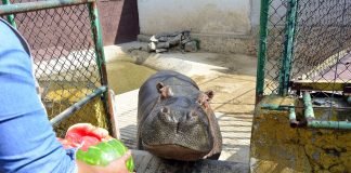 Zoológico Tulancingo